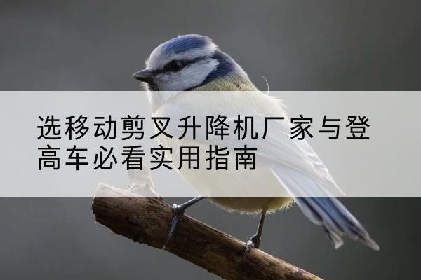 中宁电动升降机厂家-选移动剪叉升降机厂家与登高车必看实用指南