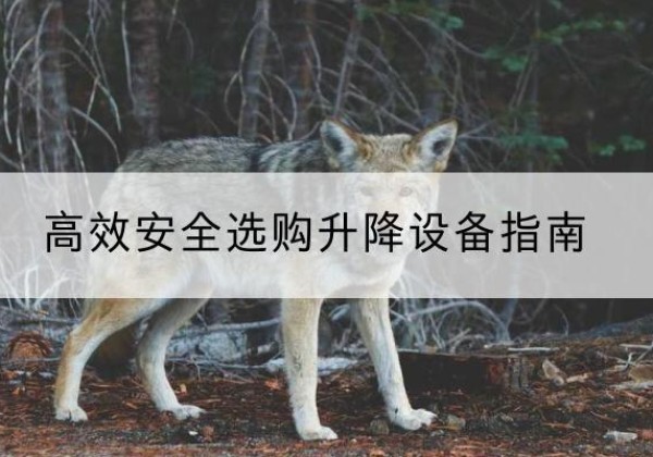 中宁升降货梯厂家推荐-*安全选购升降设备指南